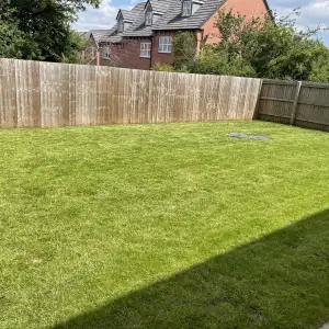 Click Here To View Larger Image