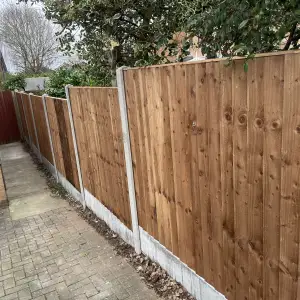 Click Here To View Larger Image