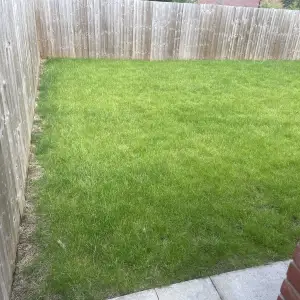 Click Here To View Larger Image